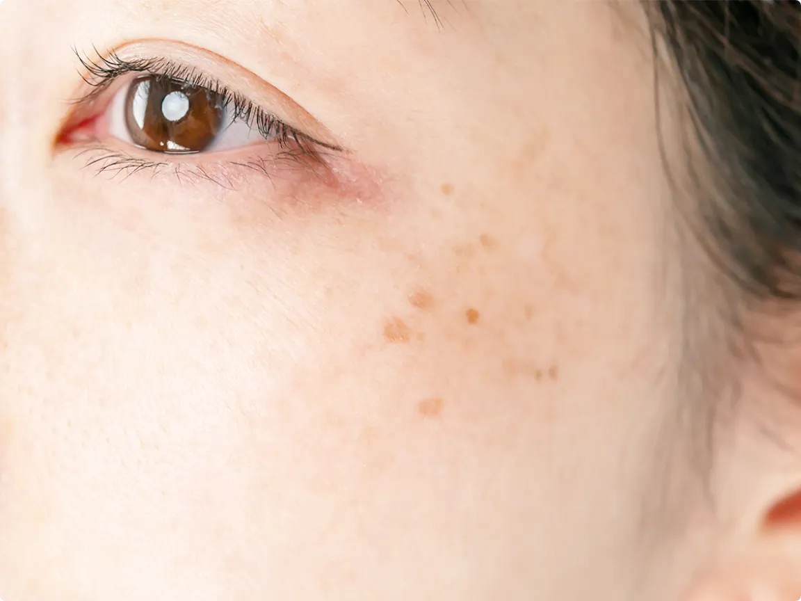 ポテンツァマックームのイメージ画像